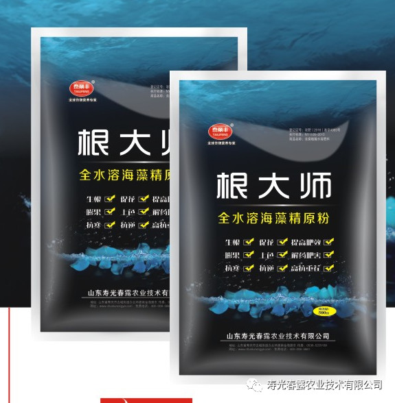 根大師海藻精