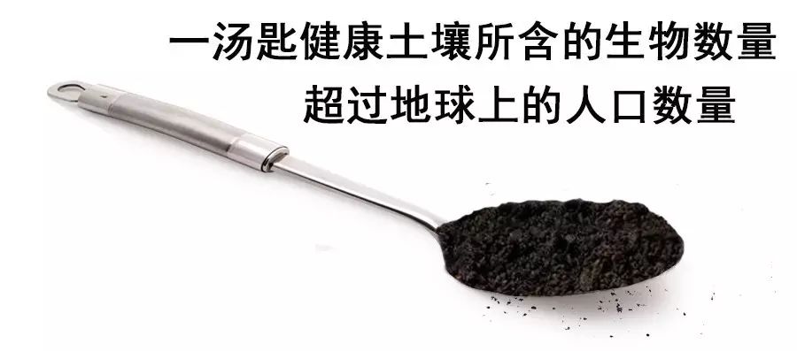下載 (5).jpg