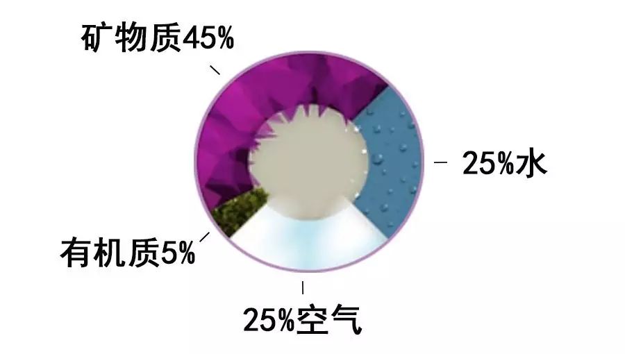 下載 (6).jpg